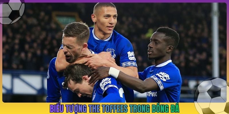Biểu tượng the toffees trong bóng đá
