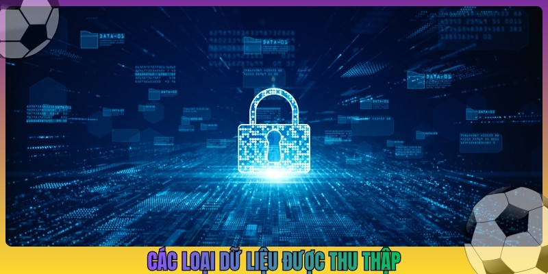 Các loại dữ liệu được thu thập