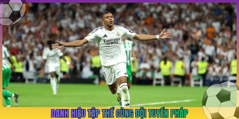 Danh hiệu tập thể cùng Đội tuyển Pháp