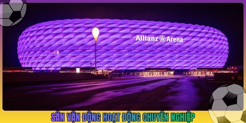 Sân vận động hoạt động chuyên nghiệp